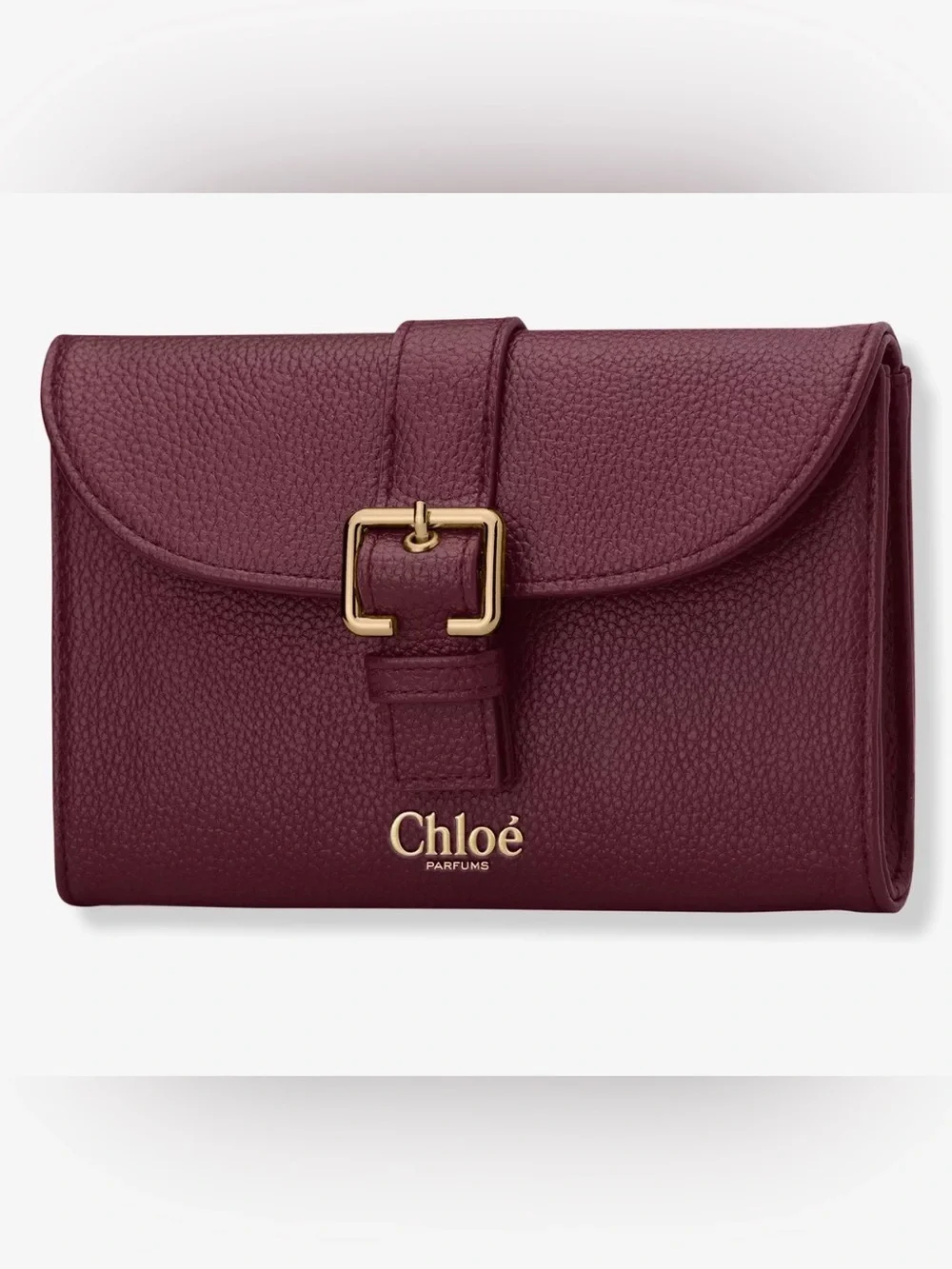 Chloe Buckle Clutch